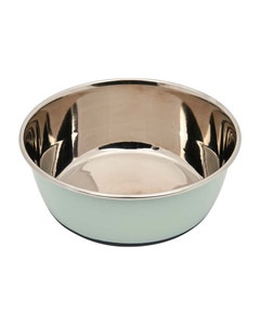 All Day Havana Stainless Steel Coup Dog Bowl Green